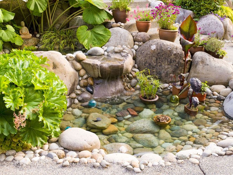 Pebble Water Gardens