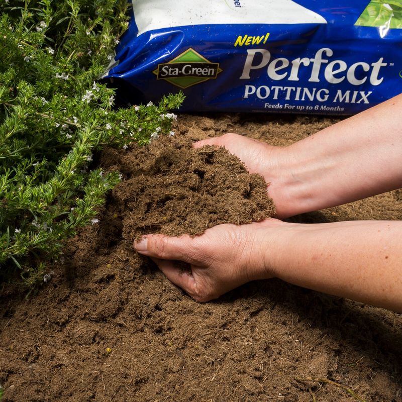 Perfect Potting Mix