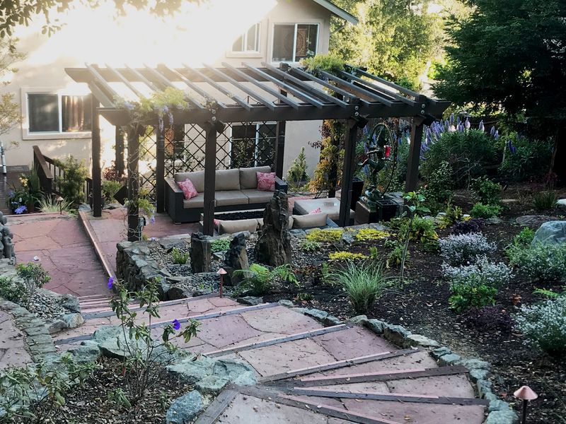 Pergola with Vines