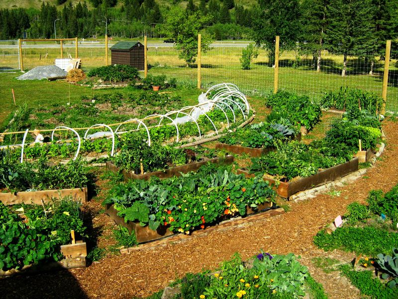 Permaculture Design