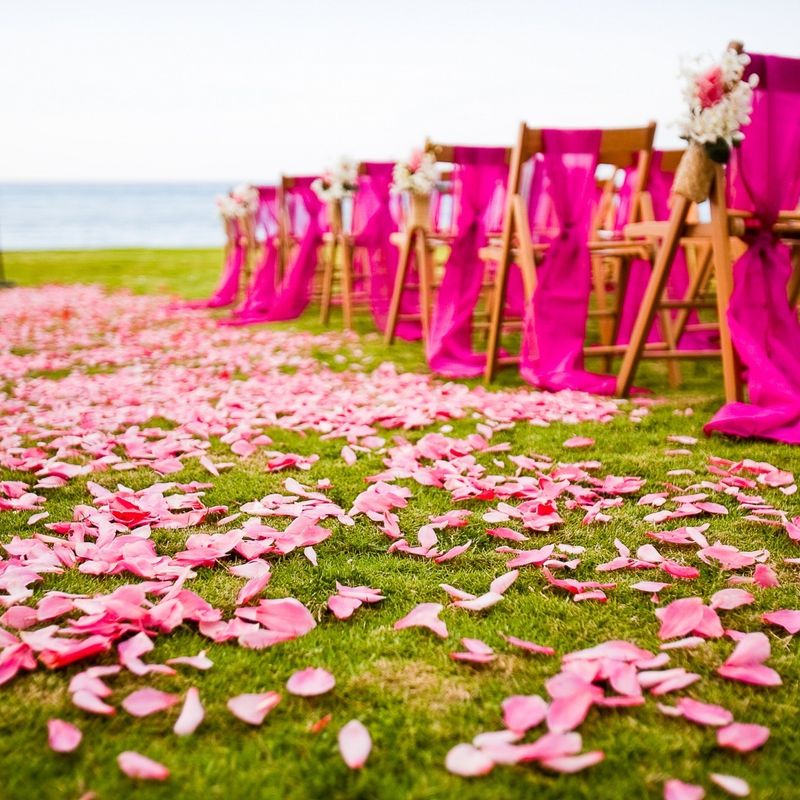 Petal Confetti for Events