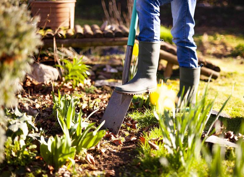 Planting Too Densely