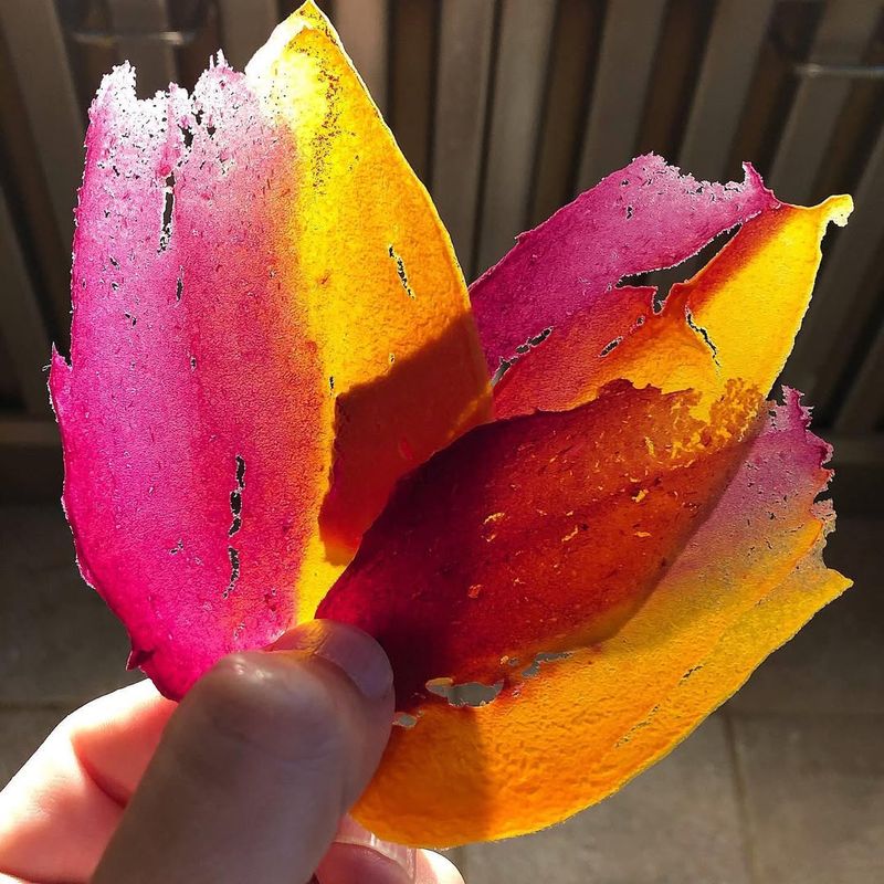 Potato Peel Art