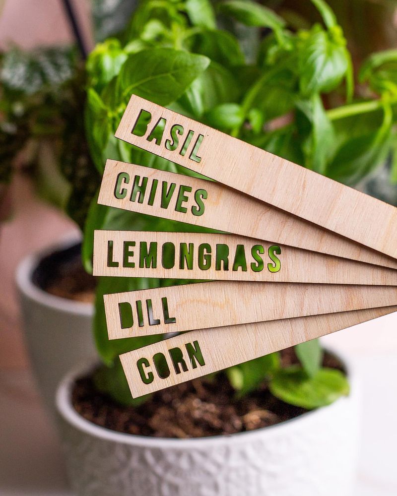 Potato Peel Plant Labels