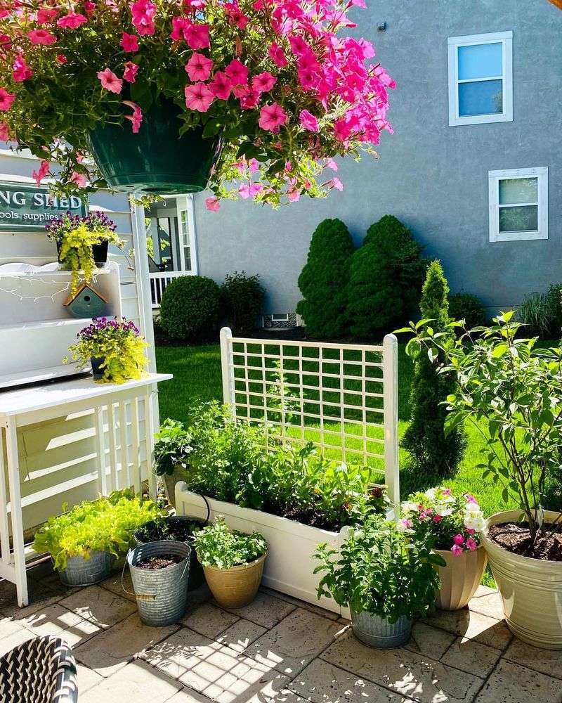 Potted Herbs