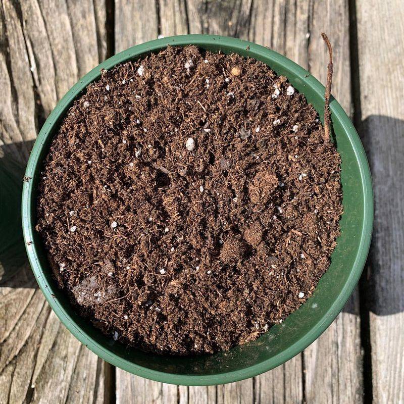 Potting Soil Mix