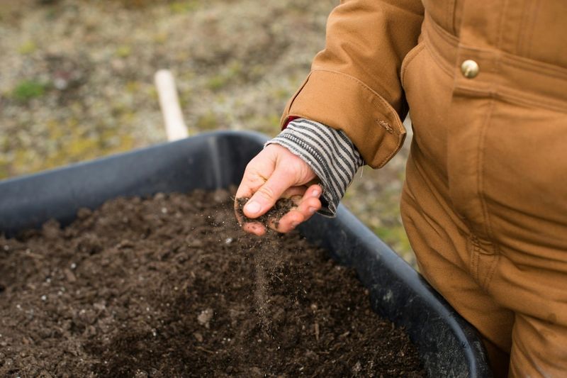 Prepare the Soil