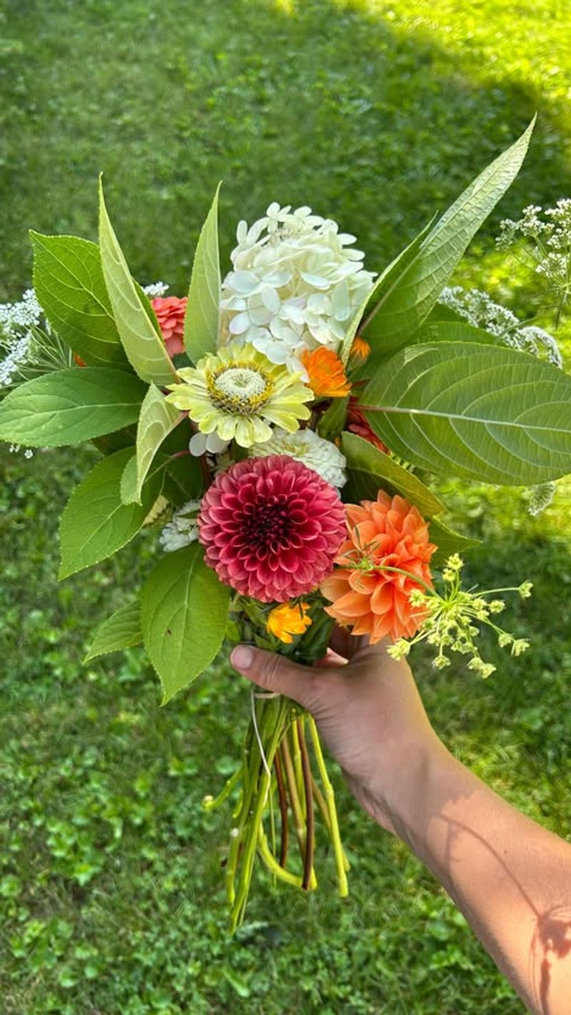 Preserve Cut Flowers