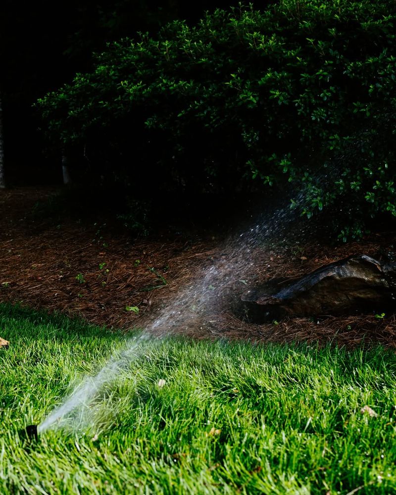 Proper Watering