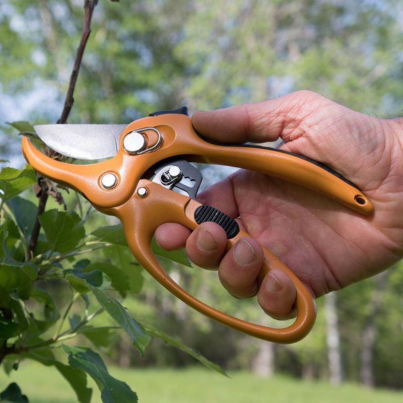 Pruning Shears with Ratchet Mechanism