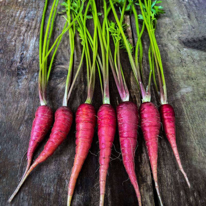 Purple Carrot