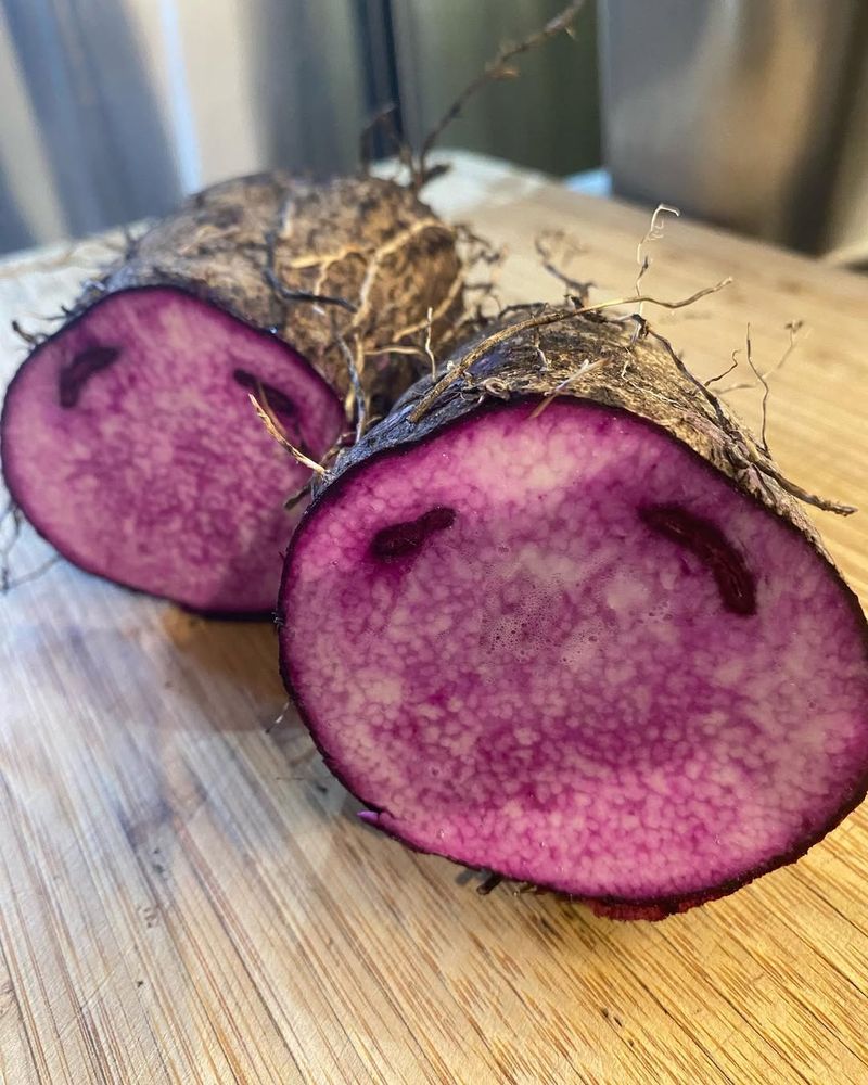 Purple Yam