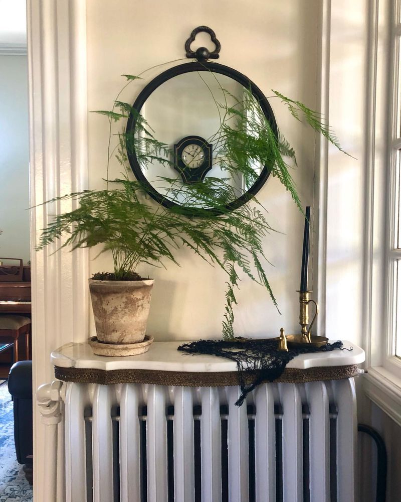 Radiator Shelf Display