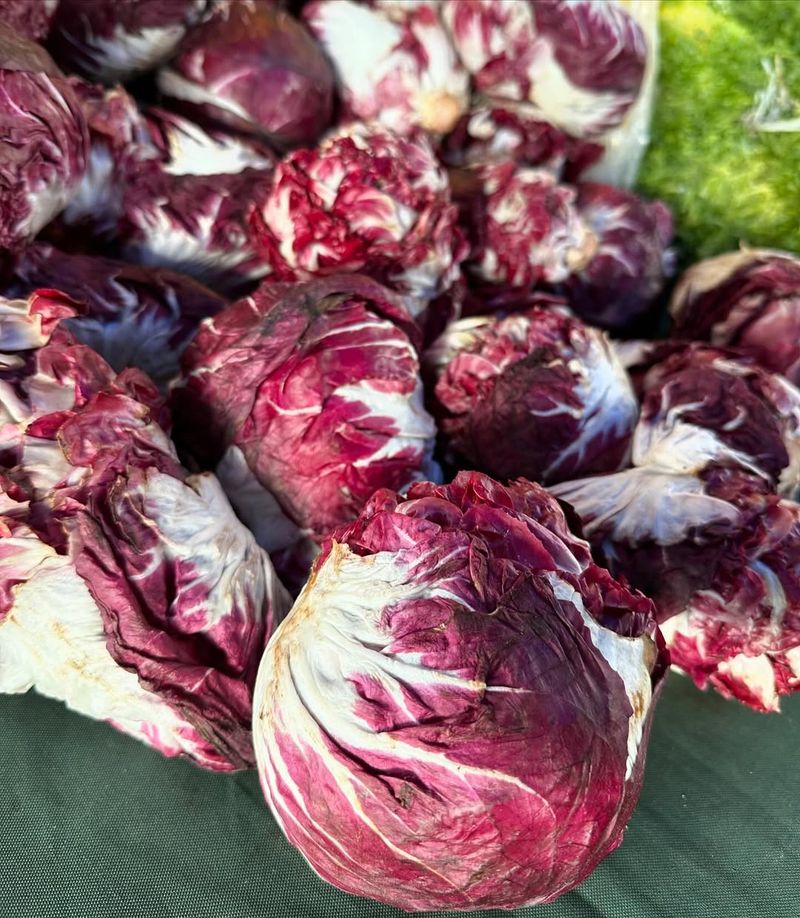 Radicchio