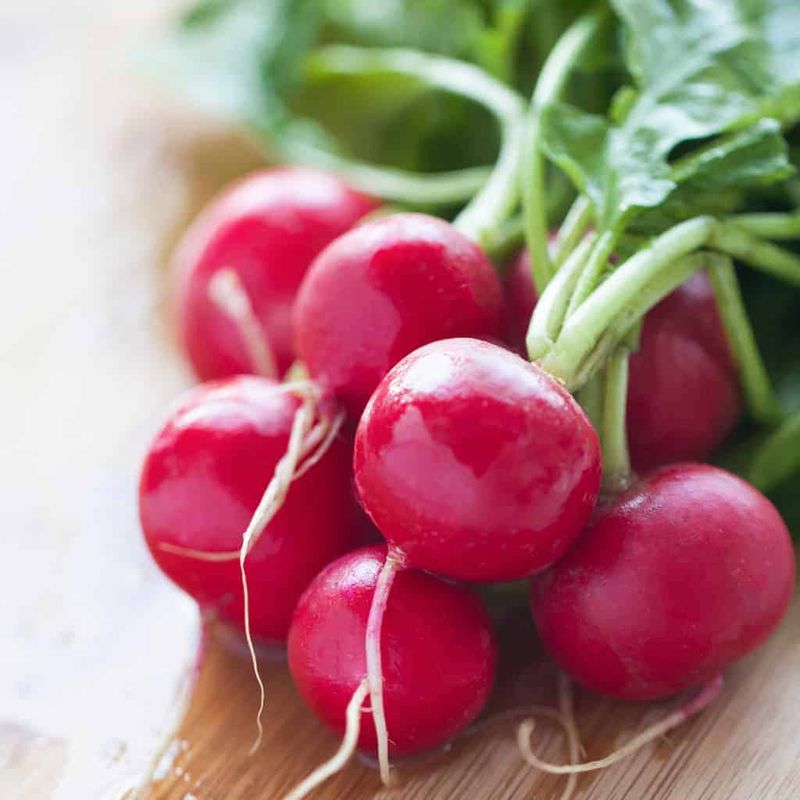 Radish