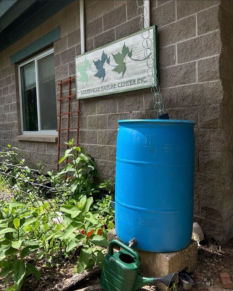 Rain Barrels