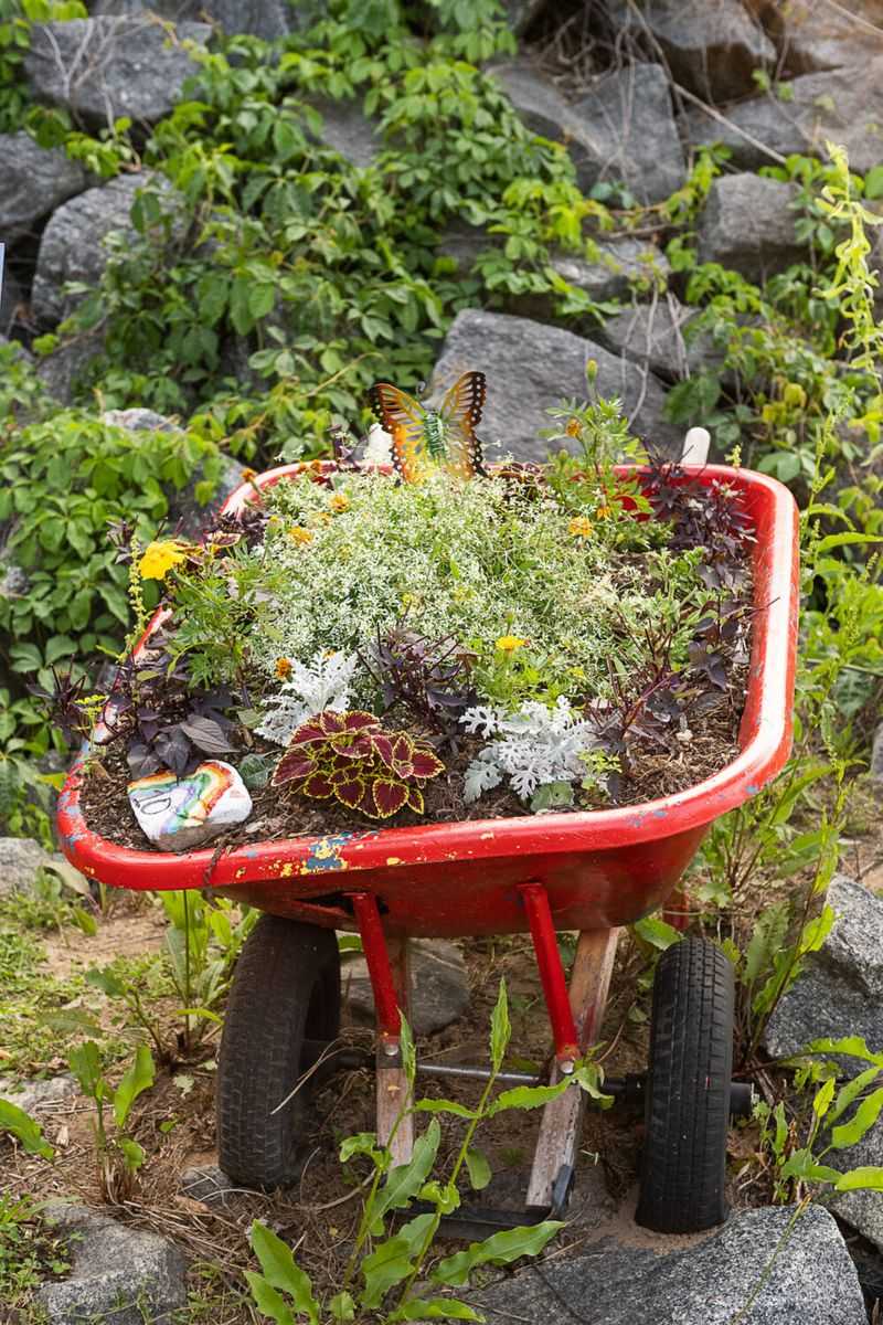 Wagon Wheel Succulent Gardens