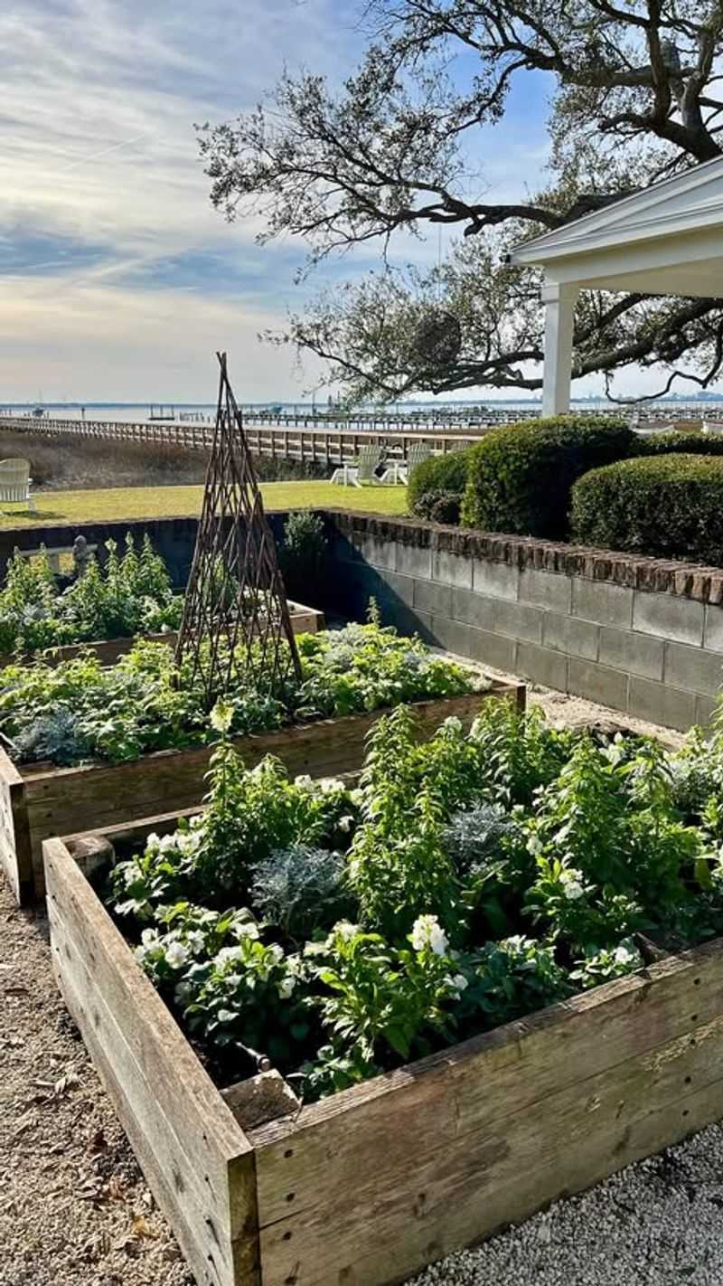 Raised Bed Gardens