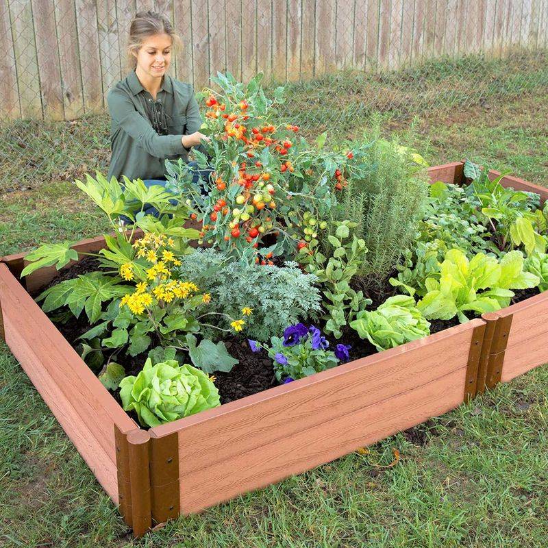 Raised Beds