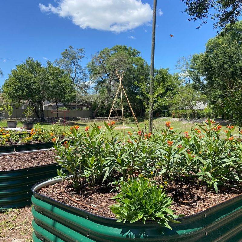 Raised Garden Beds