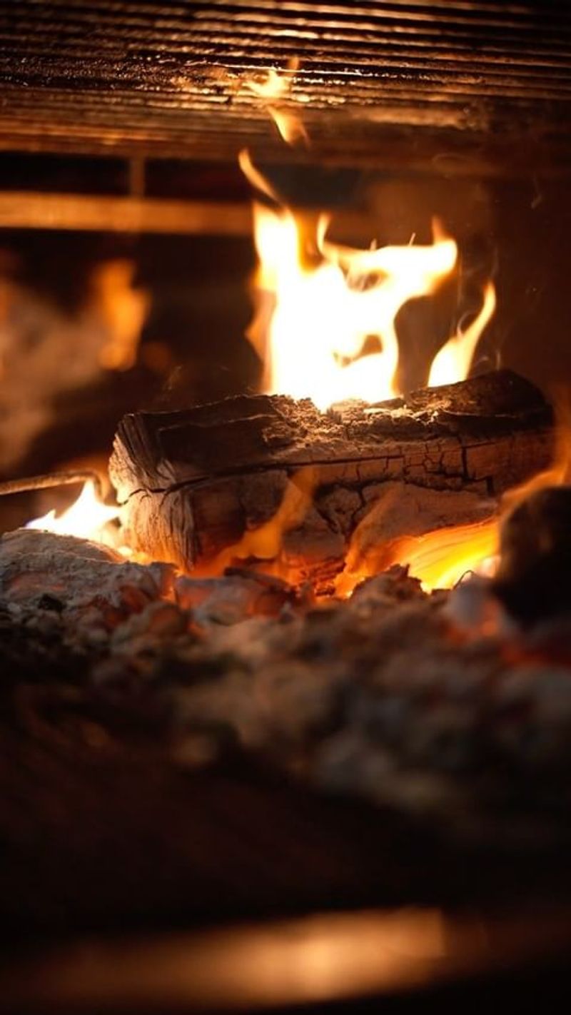 Recycle Fireplace Waste