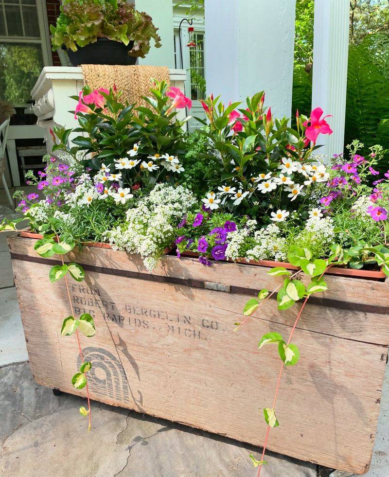 Recycled Container Garden