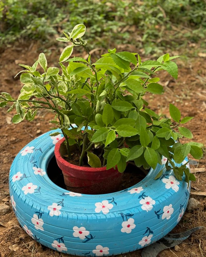 Recycled Tire Planters