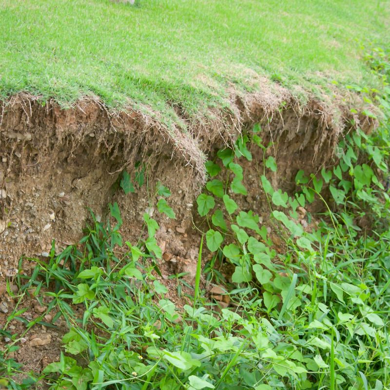 Reduced Soil Erosion