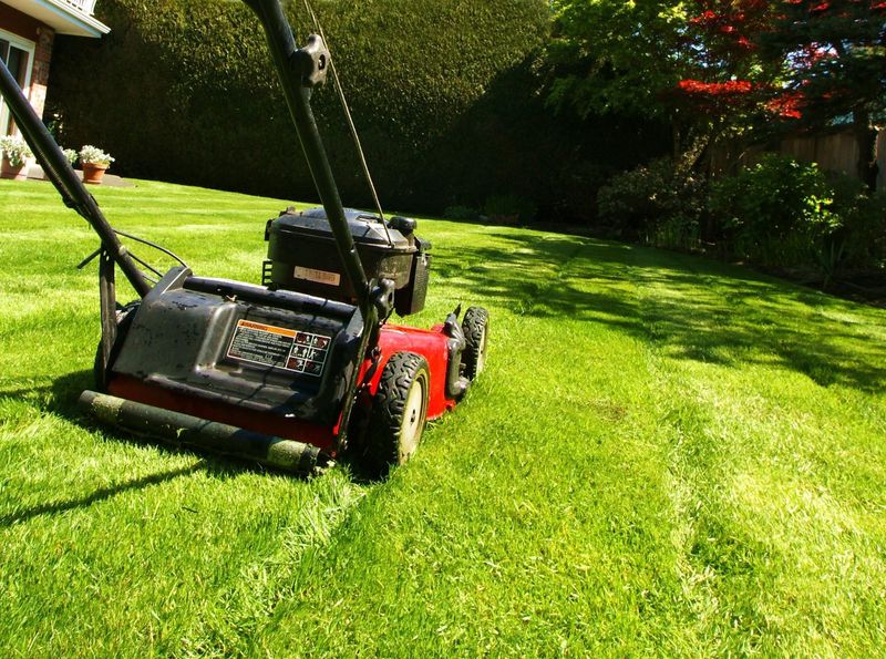 Reduces Lawn Equipment Maintenance