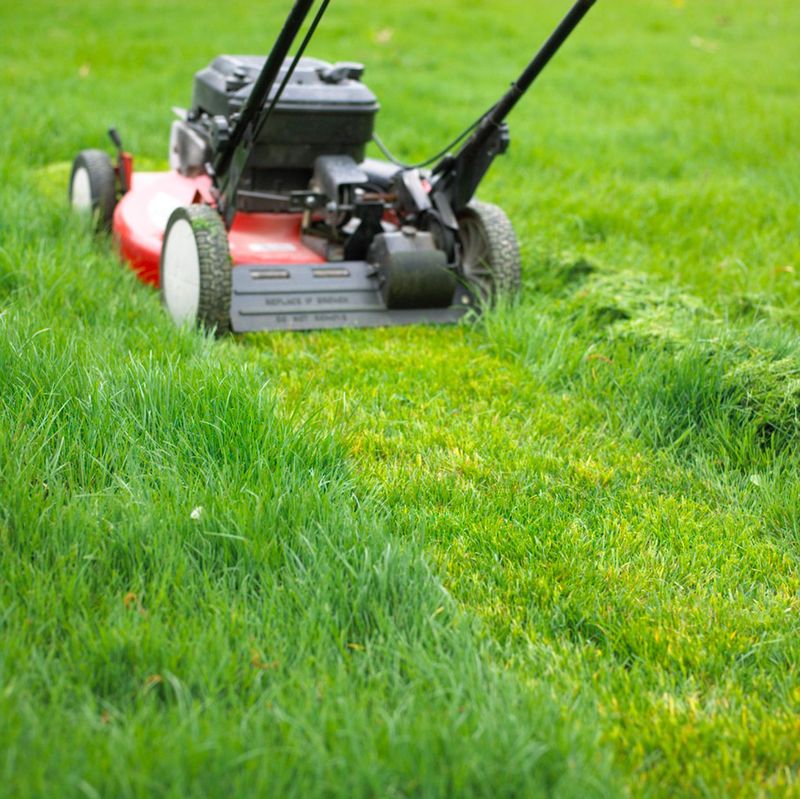 Regular Lawn Mowing