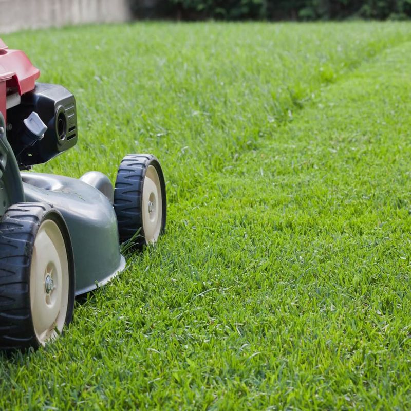 Regular Mowing