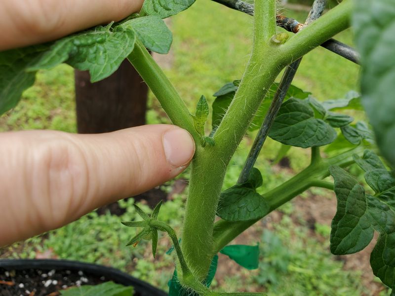 Regular Plant Inspection