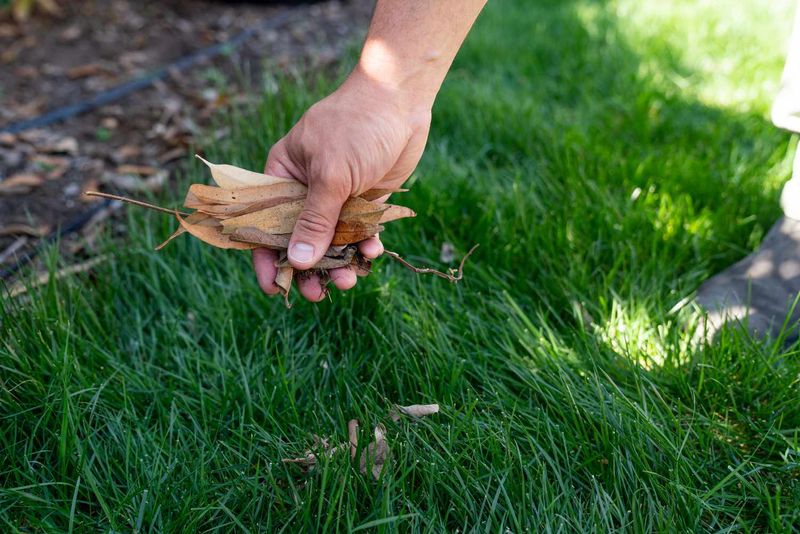 Regular Raking