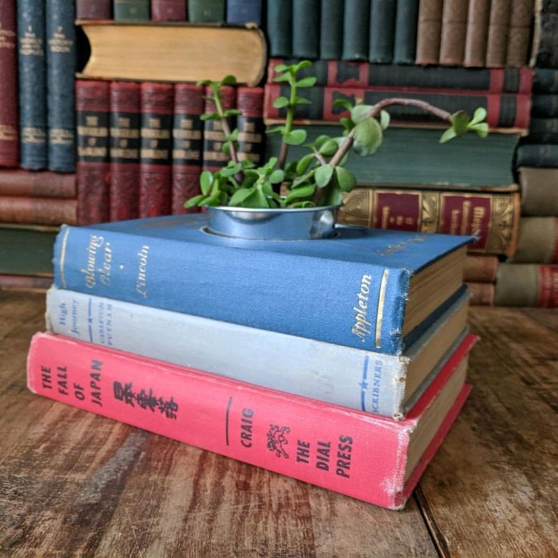 Repurposed Books Planters