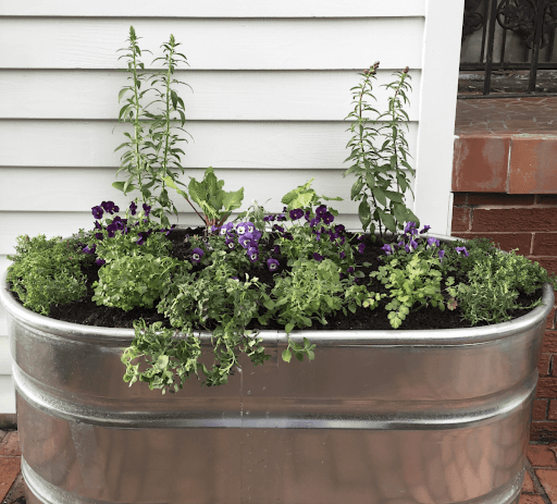 Repurposed Trough Planter