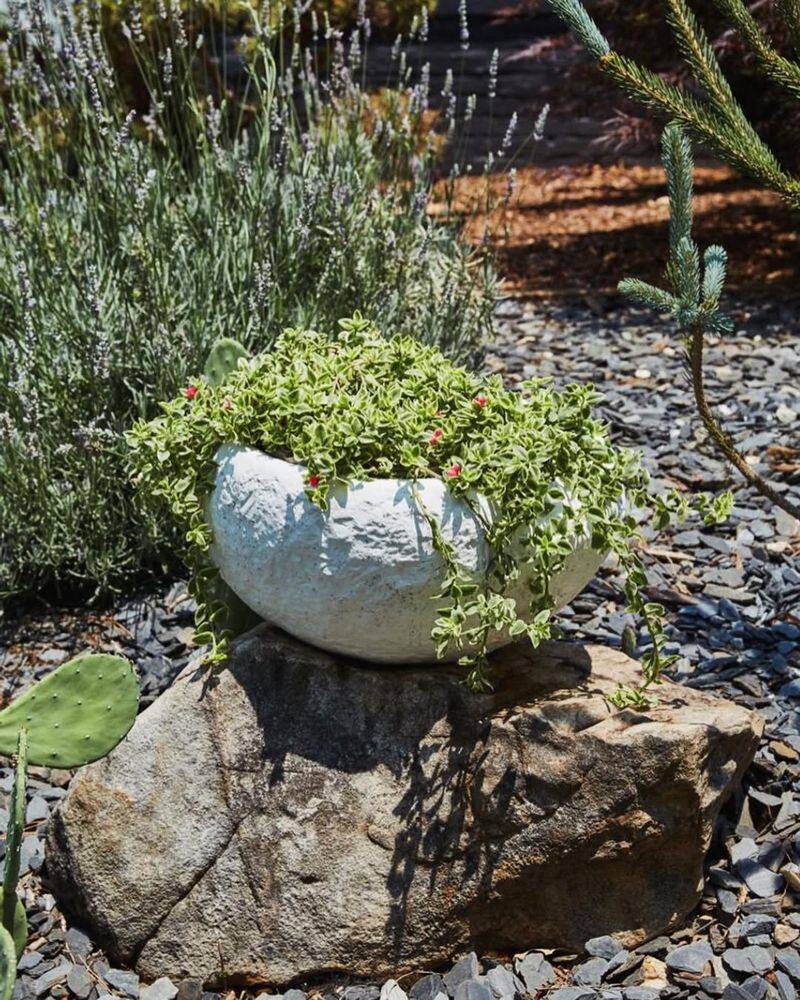 Rock Garden in a Pot