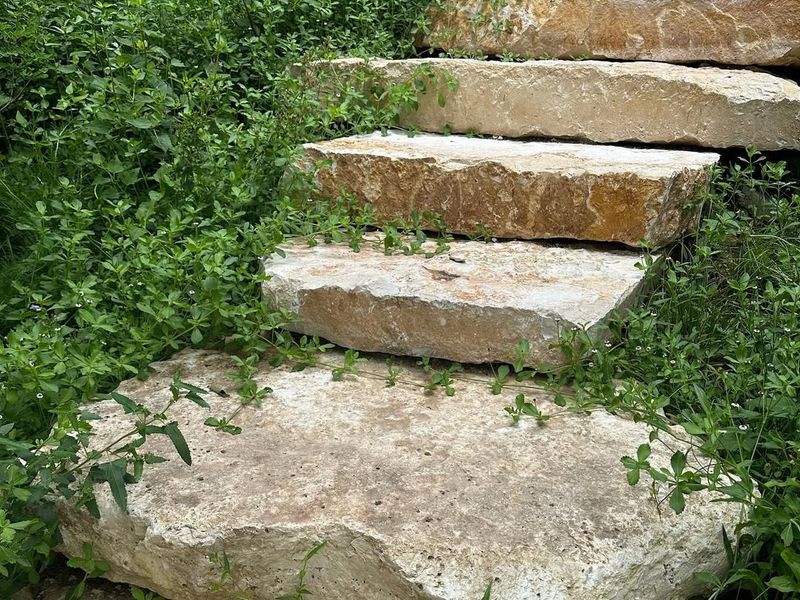 Rocky Outdoor Steps