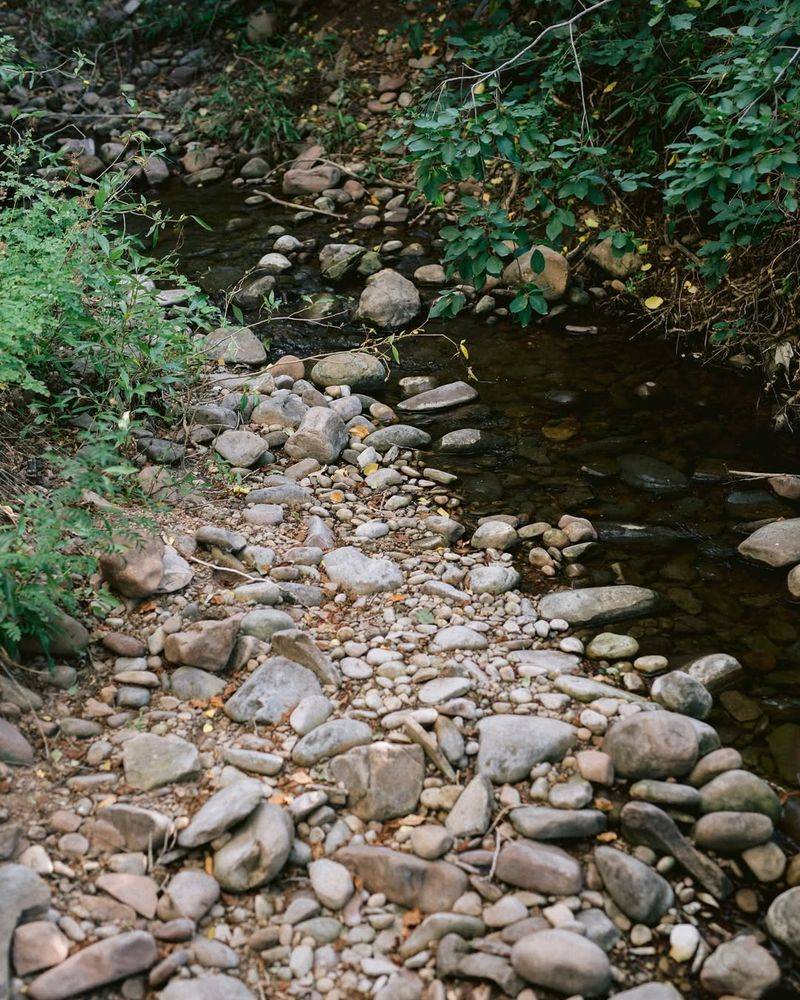 Rocky Stream Bed