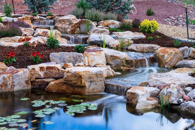 Rocky Water Garden