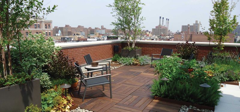 Rooftop Garden