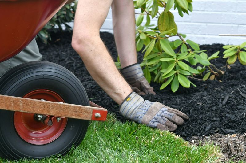 Rubber Mulch