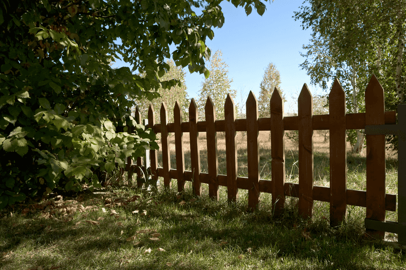 Rustic Wooden Fence