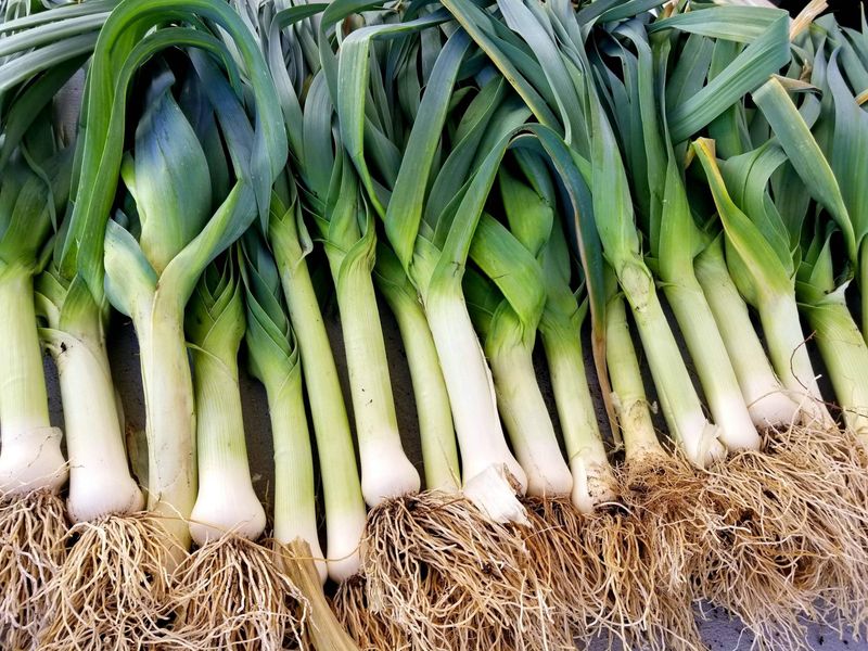 Leeks