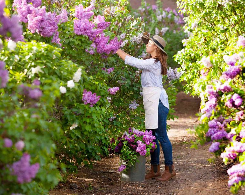 Scented Garden