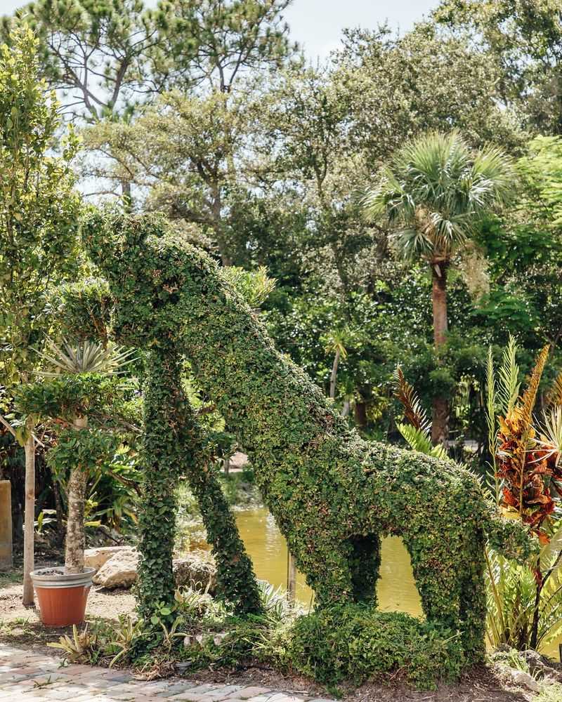 Sculptural Topiary Garden