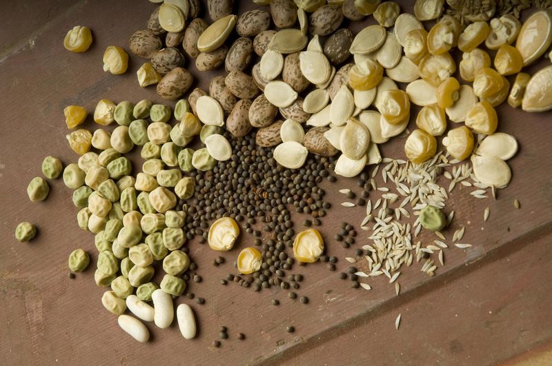 Select High-Quality Seeds