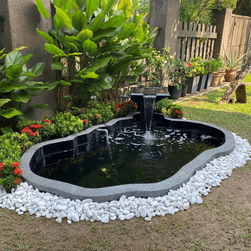 Self-Cleaning Ponds