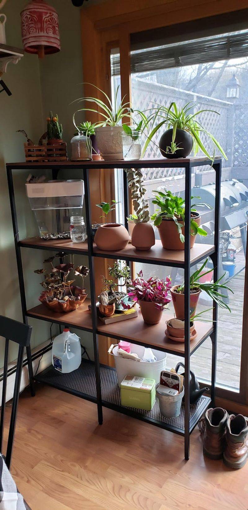 Shelf for Seedlings