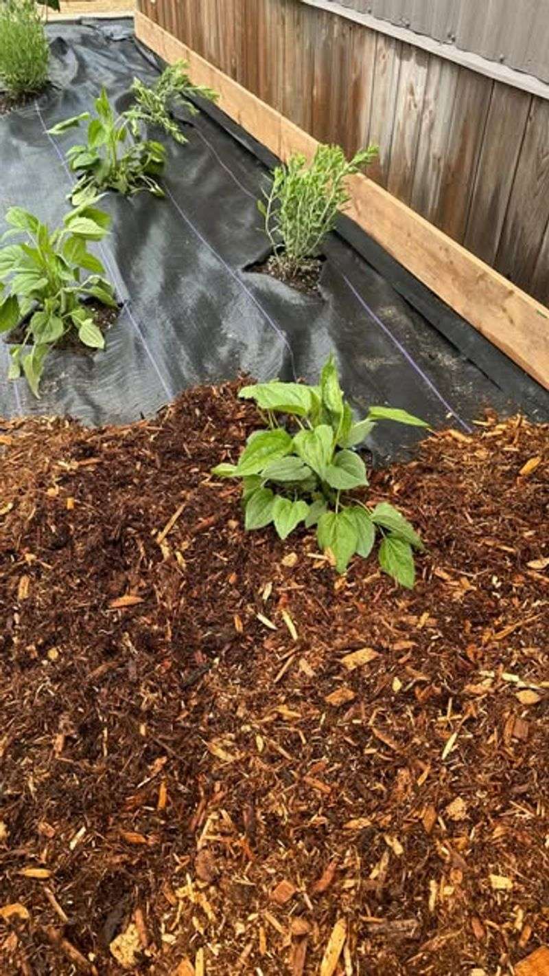 Fabric Mulch