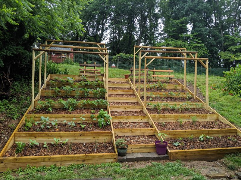 Slope-Side Vegetable Garden